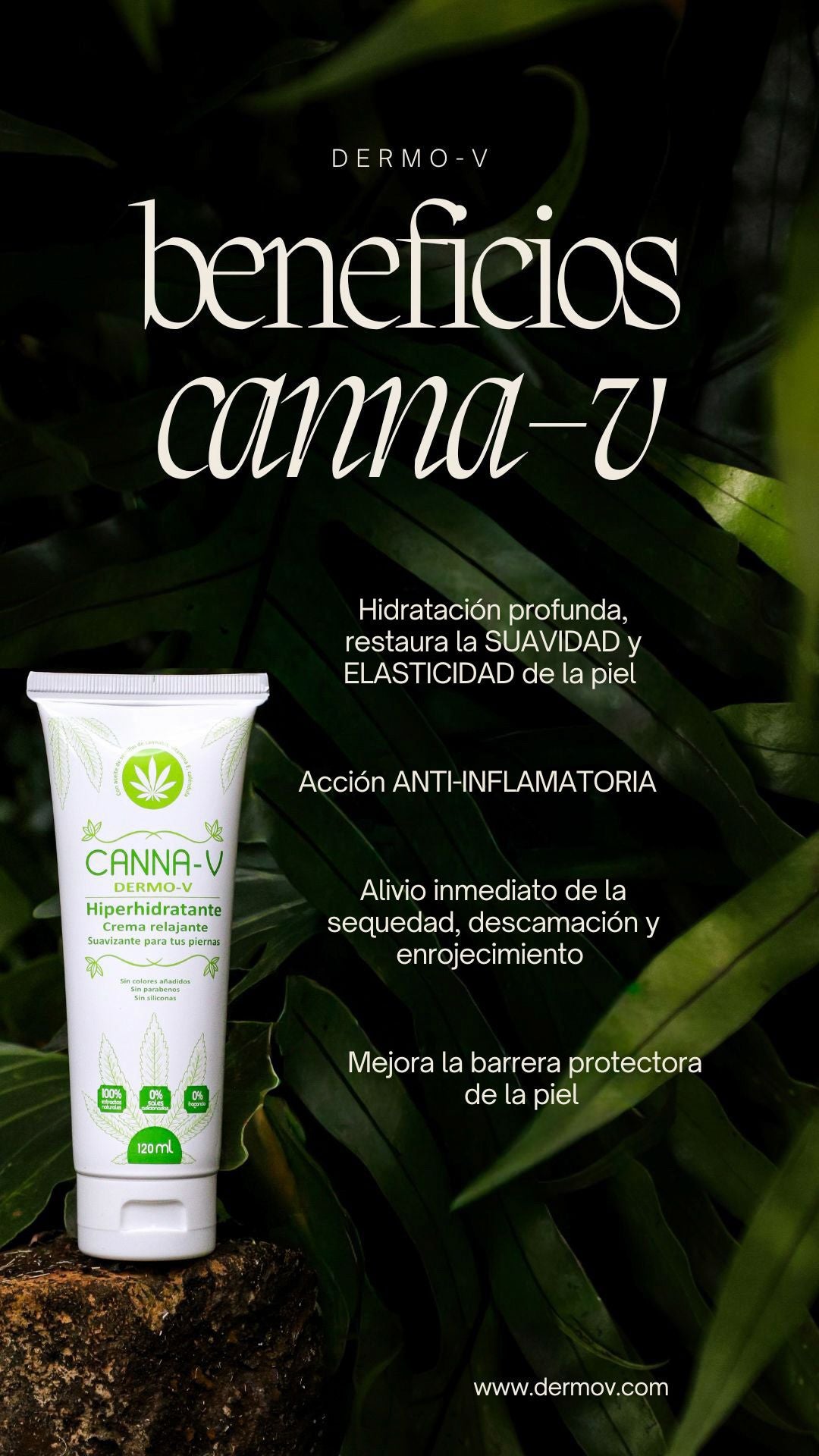 CANNA-V